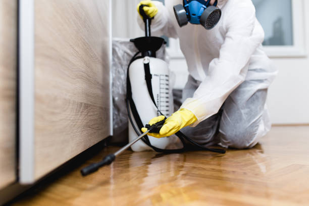 Best Emergency Pest Control  in Mcguire Af, NJ