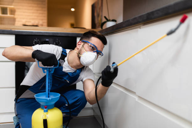 Best Pest Removal Services  in Mcguire Af, NJ