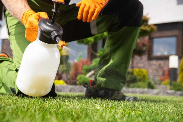Best Exterminator Services  in Mcguire Af, NJ