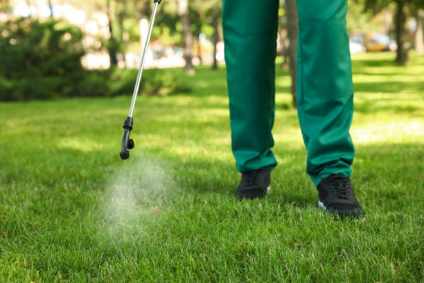 Wasp Removal Services in Mcguire Af, NJ