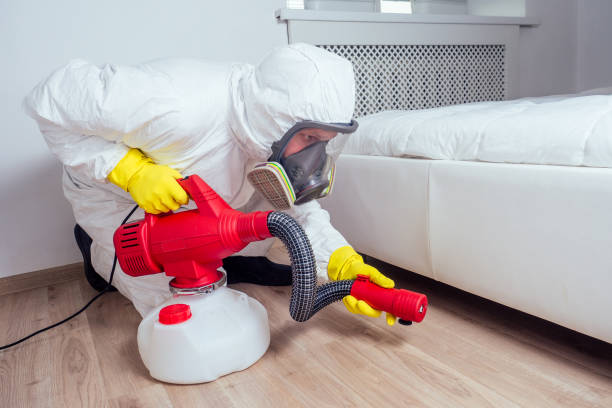Insect Control in Mcguire Af, NJ