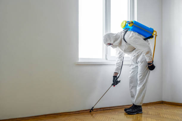 Best Ant Control Services  in Mcguire Af, NJ
