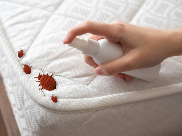 Best Residential Pest Control  in Mcguire Af, NJ